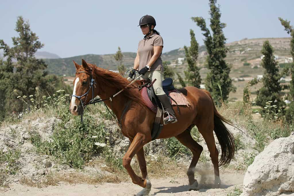 love horses and love horse riding greece, love thanasis farm