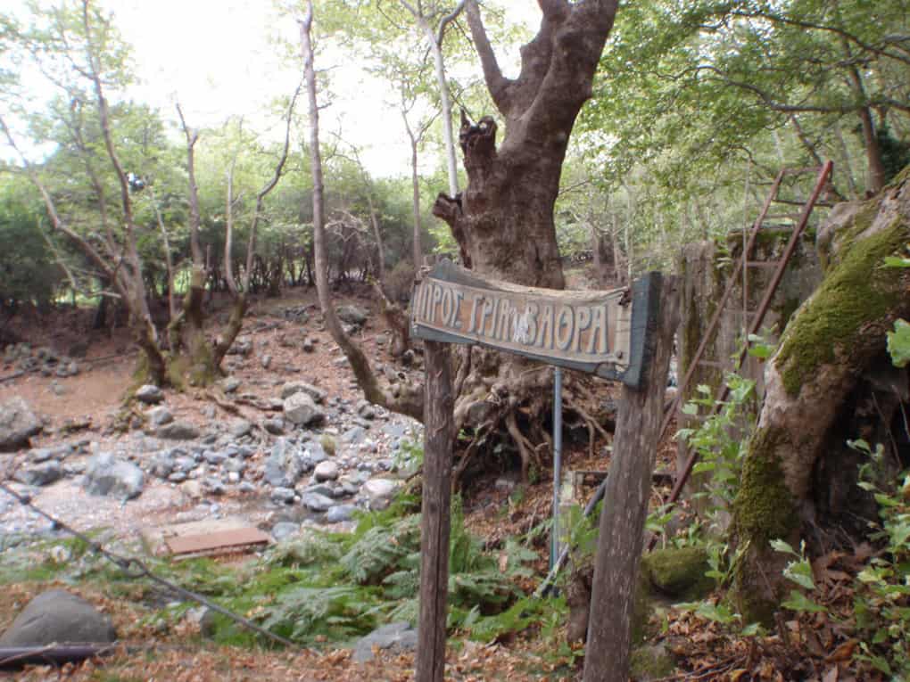 Samothrace Greece Best Things To Do 2021 3 samothraki