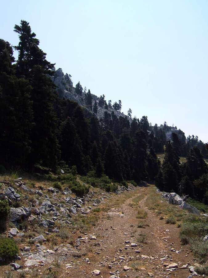Evia Island Greece Best Things To Do 2021 20 Evia Greece Dirfi