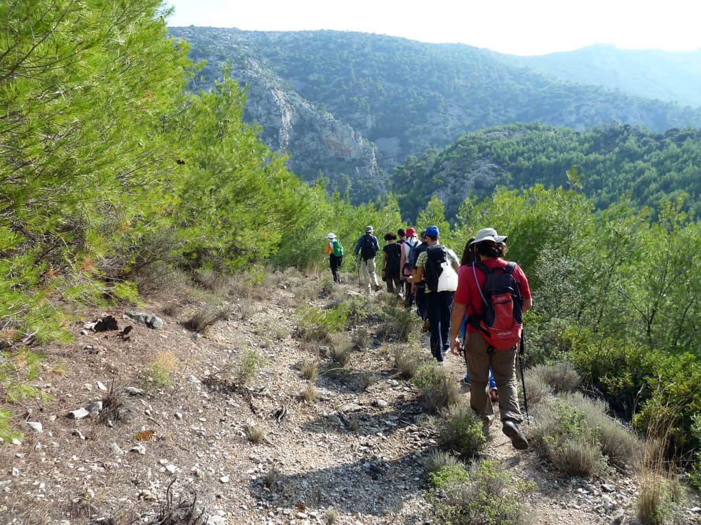 Mount Parnitha 2 Exclusive Hiking Routes 17 hiking parnitha fili