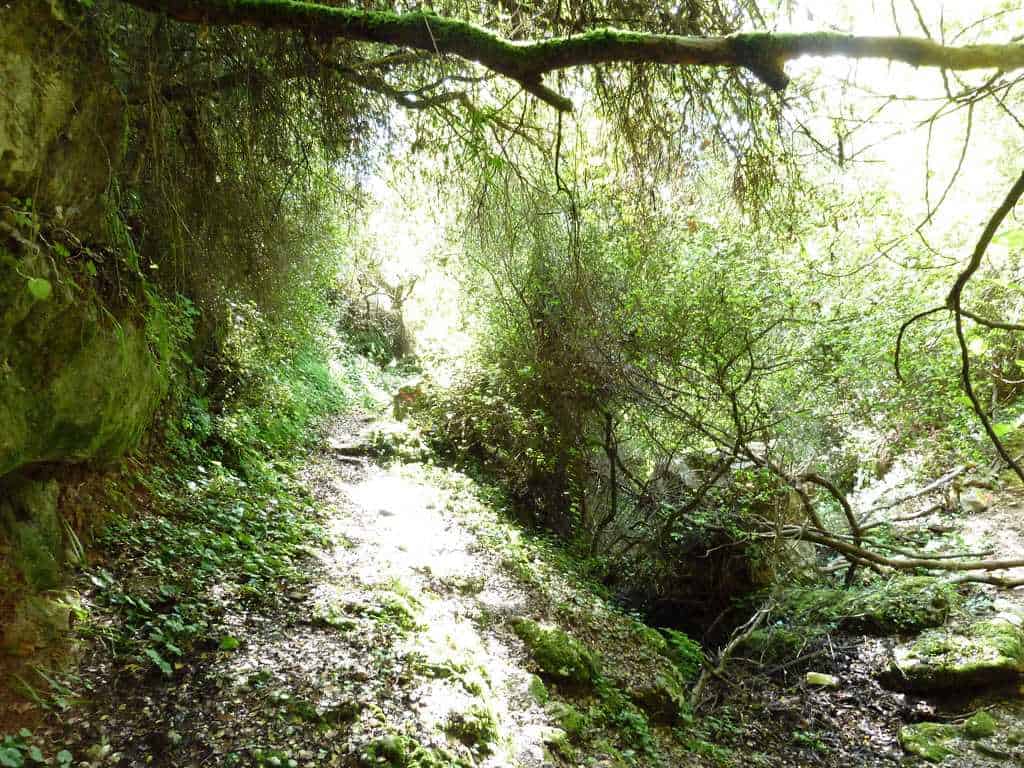 The 7 Best Things To Do in Mani Greece For 2022 11 Viros Gorge