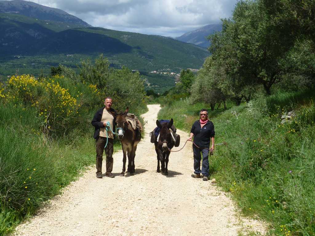 Donkey Trekking Kefalonia