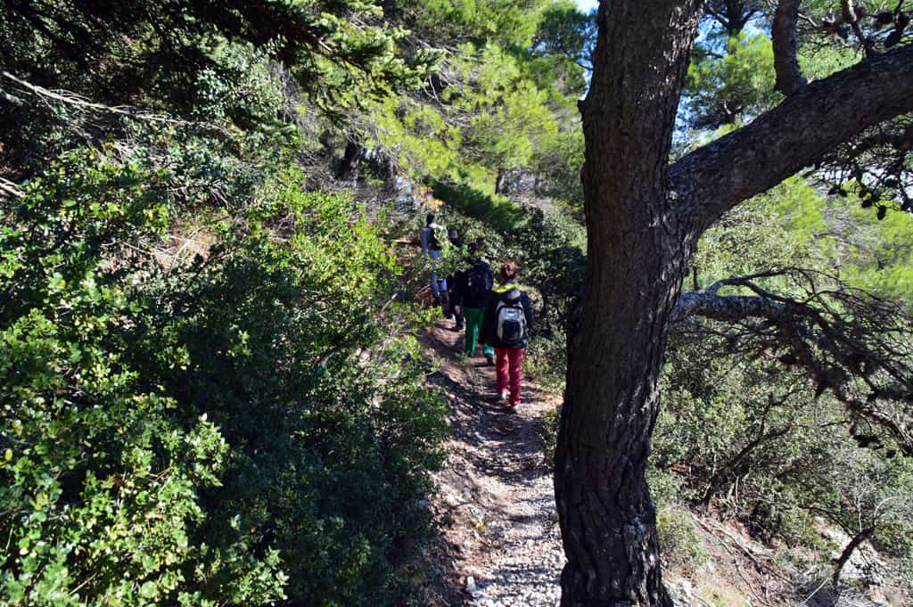 Mount Parnitha 2 Exclusive Hiking Routes 11 Hiking in Athens, Parnitha