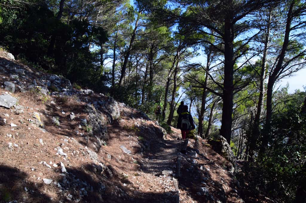 Hiking in Athens, Parnitha