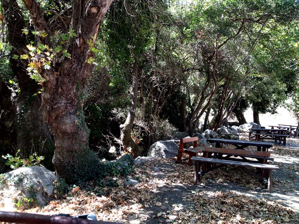 Explore the Secrets Wines, Olives and Cretan Knives