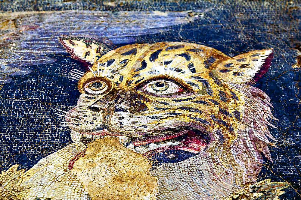 Best UNESCO World Heritage Sites in Greece 2021 8 Unesco World Heritage Delos