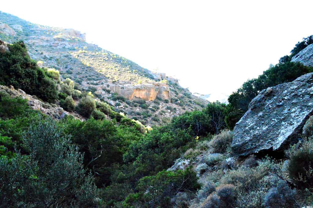 Gorges of Crete