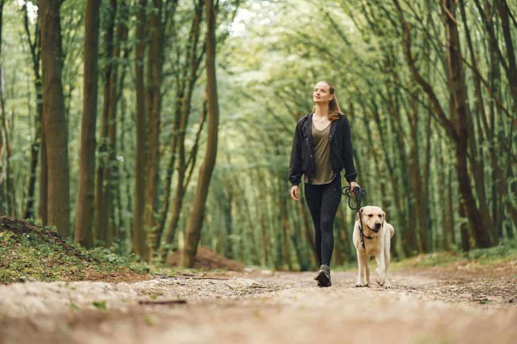 mindful walking meditation in nature