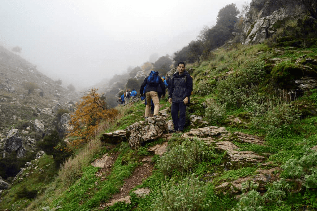 mindful walking meditation nature