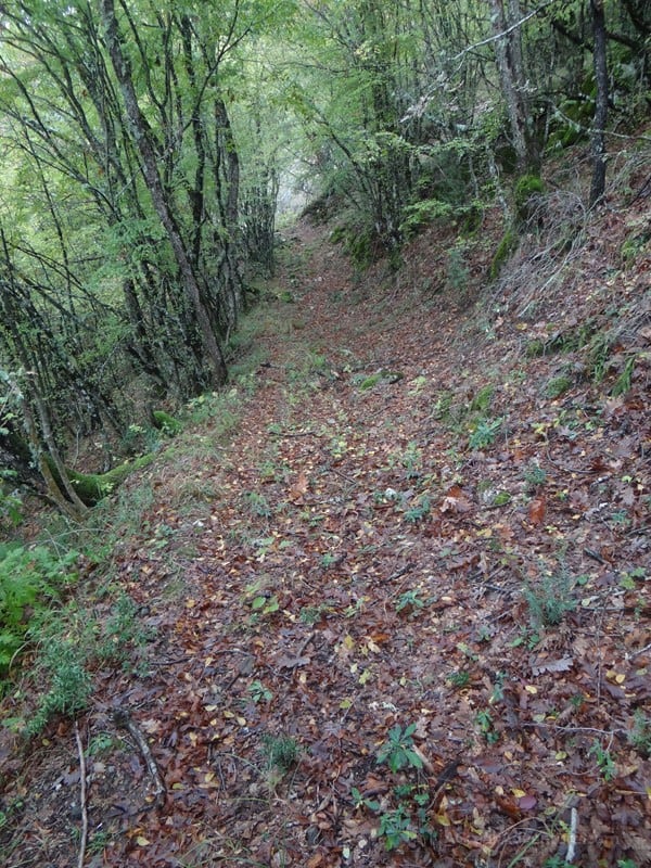 Best Things To Do in Xanthi Greece 2022 8 Xanthi Calyva Route. Sidiropetra