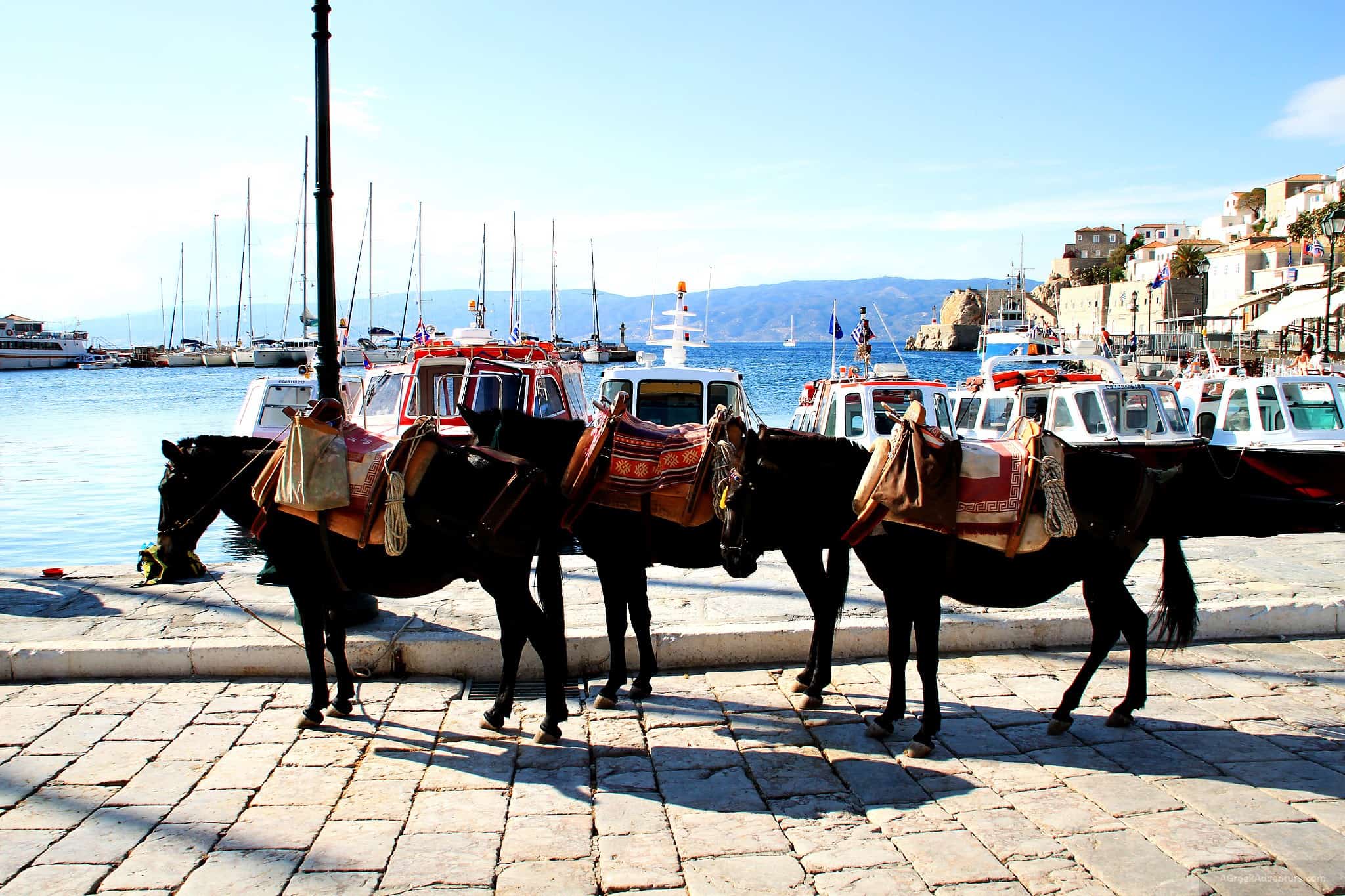 16 Amazing Things To Do In Hydra Greece 6 Things To Do In Hydra Greece