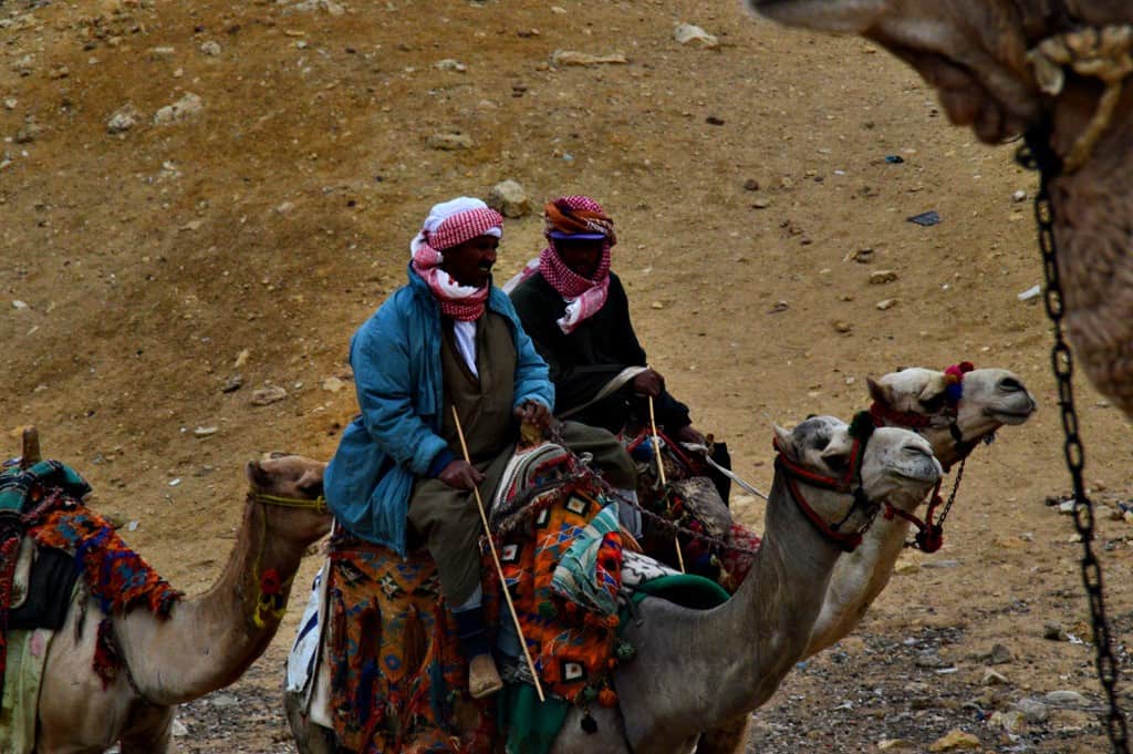 Camel drivers are met all over Cairo, usually outside the center of the city.