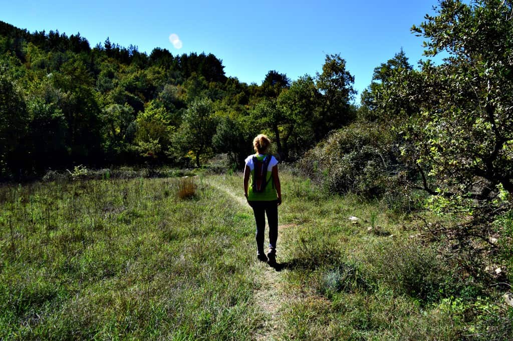 Hiking Luscious Vlachokerasia Forest in Peloponnese