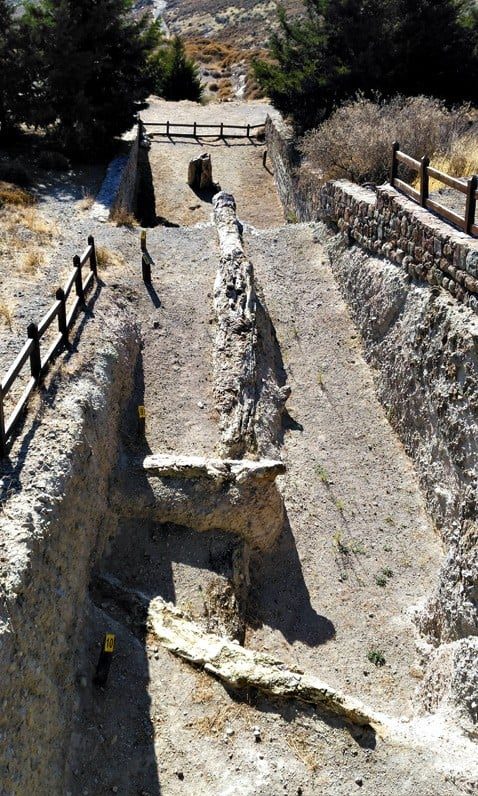 Best Things To Do in Lesvos Greece 2021 48 Ancient Petrified Forest of Lesvos and Natural History Museum