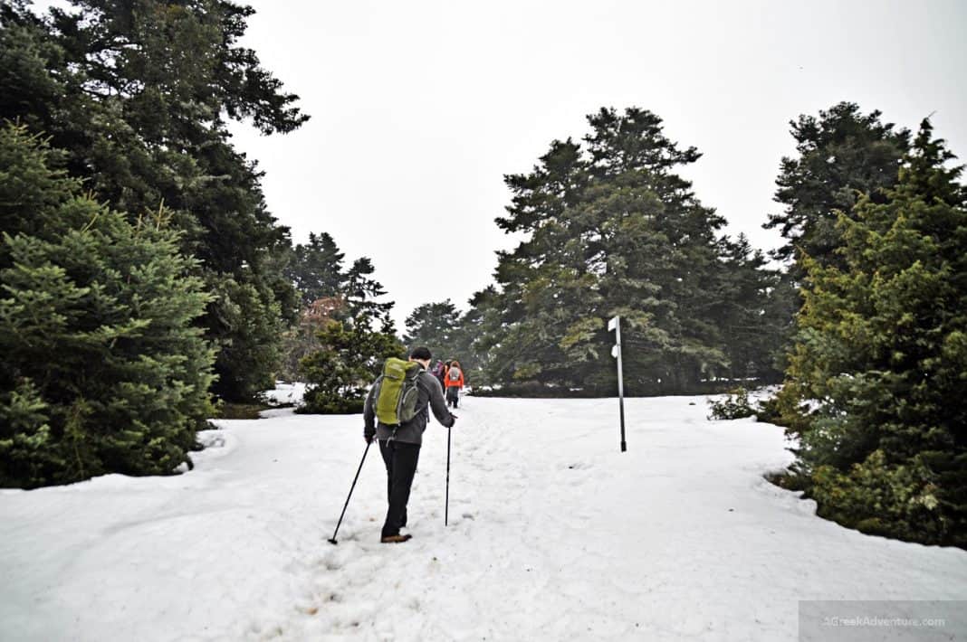 Trekking Up to Kirfi Mountain Greece Top - Mindful Travel Experiences