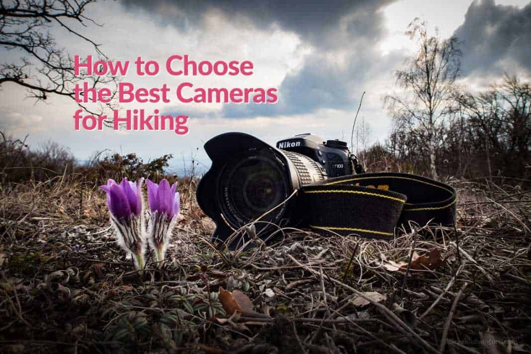 How to Choose the Best Cameras for Hiking Mindful Travel Experiences