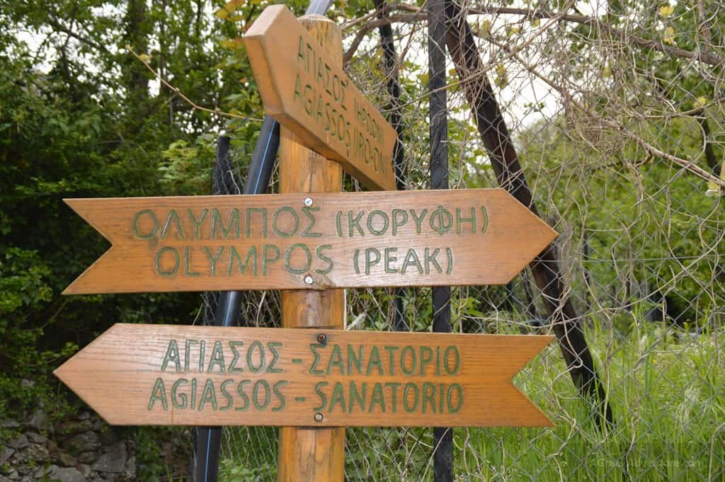 Hiking through the Chestnut Forest of Agiassos, Lesvos