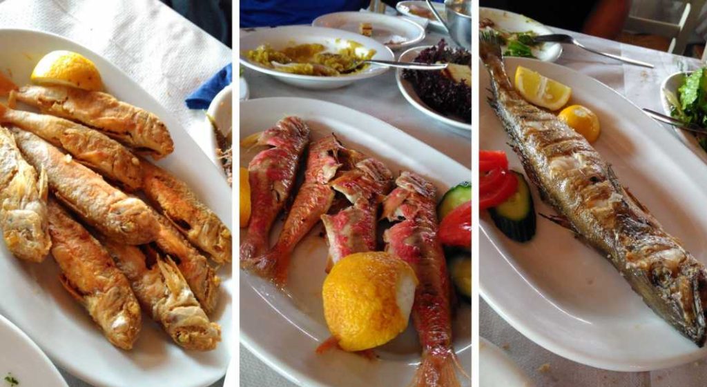 Best Things To Do in Lesvos Greece 2021 69 Eat any local fish that has "Pasto" before its actual name