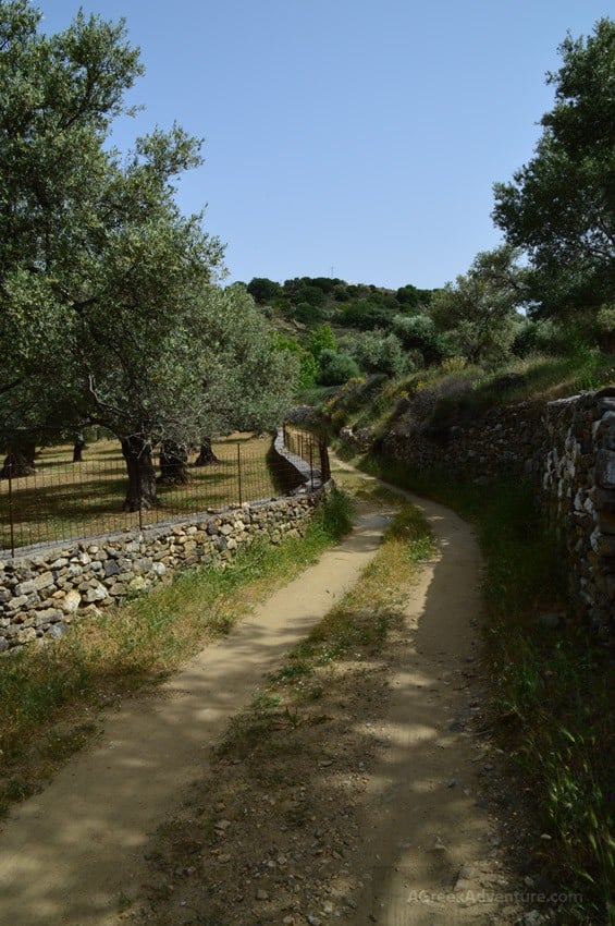 Hiking Naxos Routes: Elaiolithos to Panagia Drossiani to Chalki Circular Route