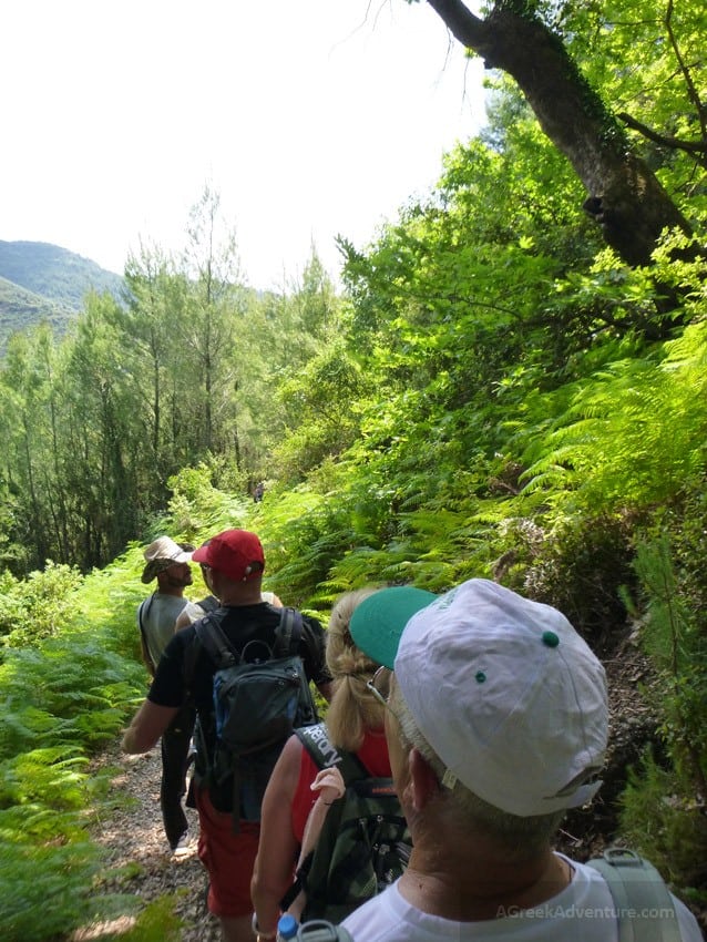 Best Waterfalls in Greece Hiking Nemouta Erimanthos 12 Waterfalls in Greece: Nemouta Waterfalls, Foloi Forest