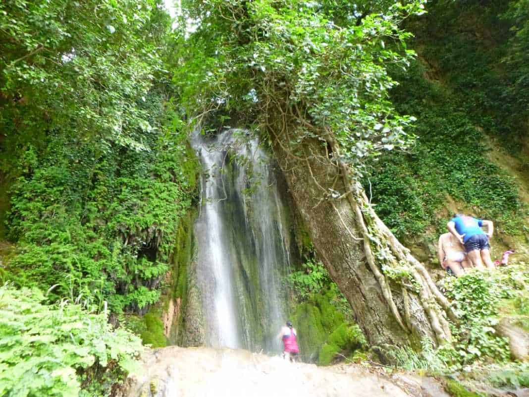 Waterfalls in Greece: Nemouta Waterfalls, Foloi Forest