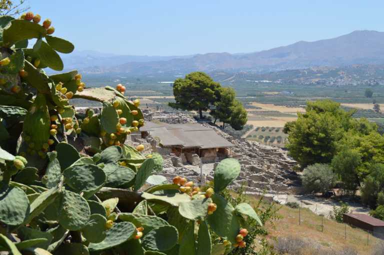 Phaistos Disc & Knossos Archaeological Site