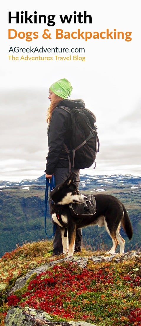 Hiking With Dogs Essential Guide