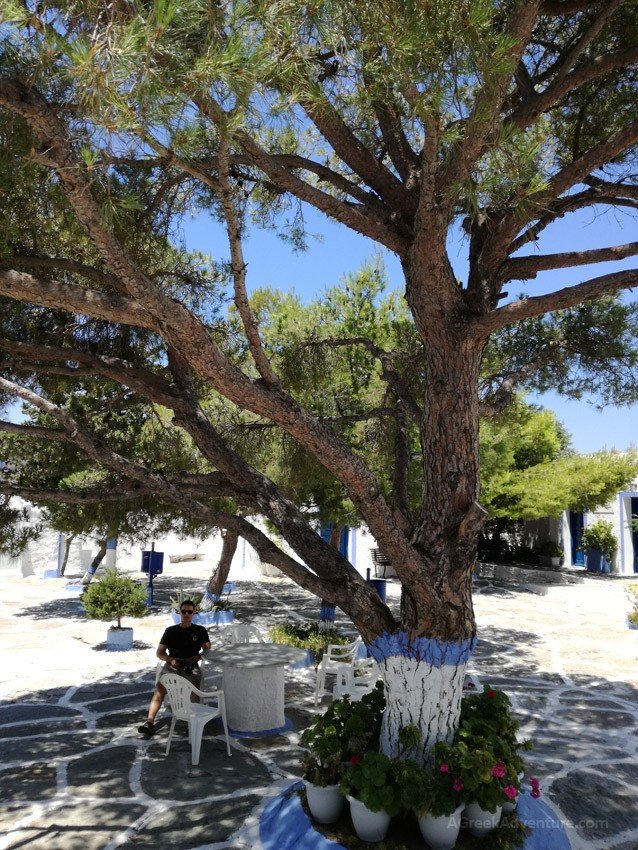 Tzia Greece - kea villas