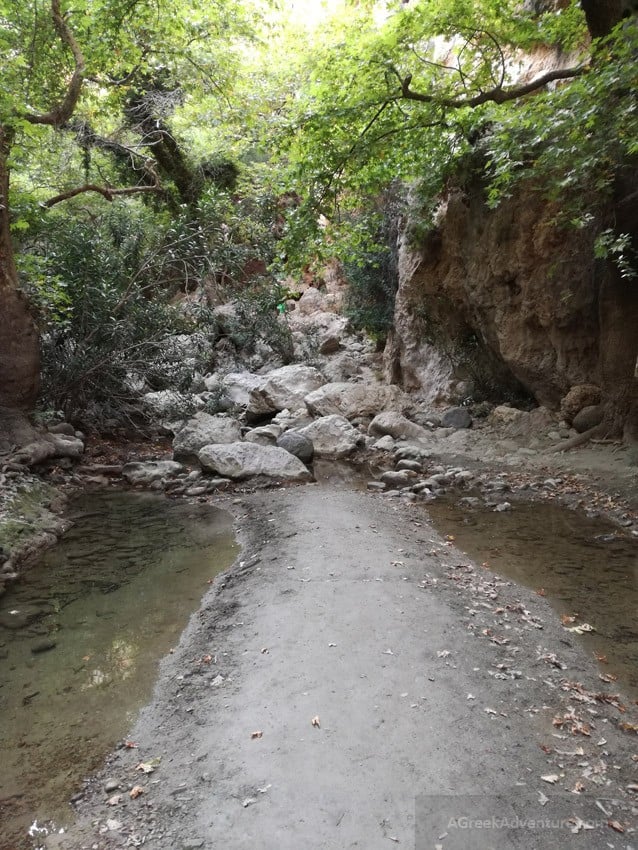 You Must Explore Patsos Gorge in Crete