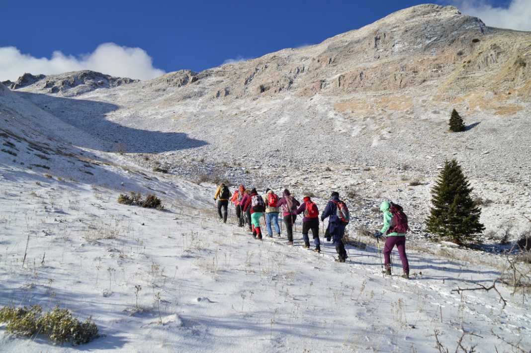 decathlon gear cable