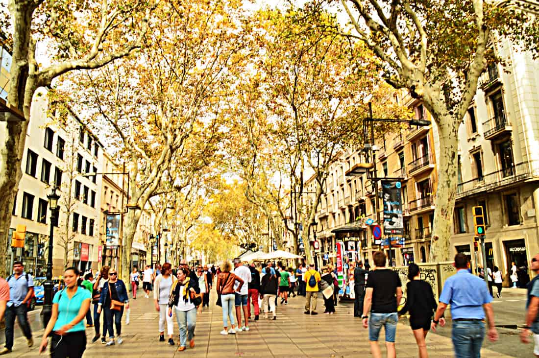 Catedral De La Sagrada Familia & City of Barcelona