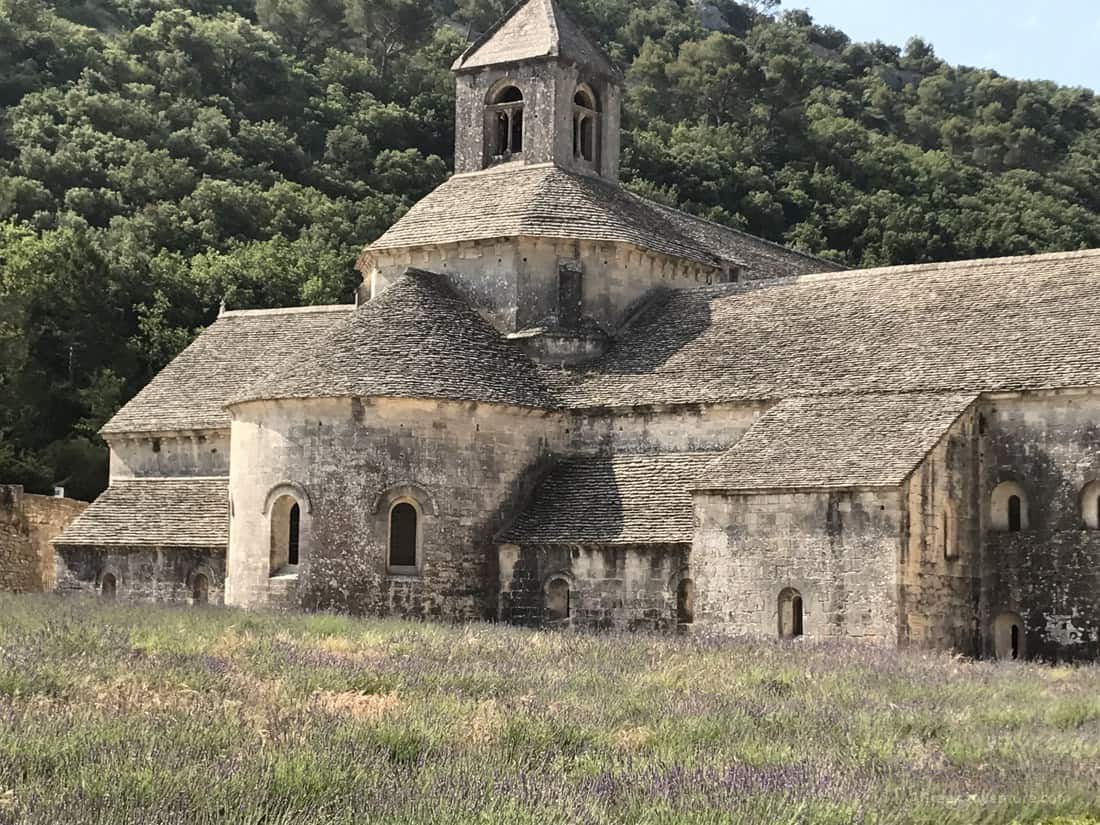 Provence Lavender Fields