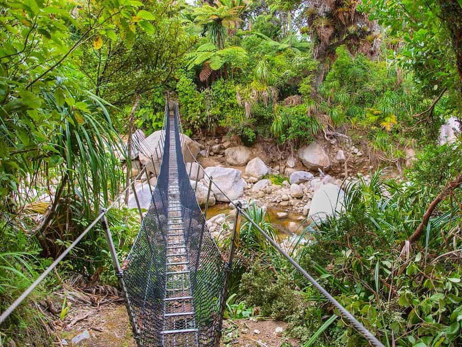 Best Hikes in New Zealand