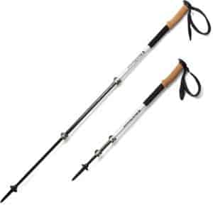 Best Trekking Poles