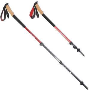 Best Trekking Poles