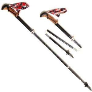 Best Trekking Poles
