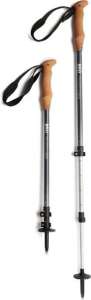 Best Trekking Poles