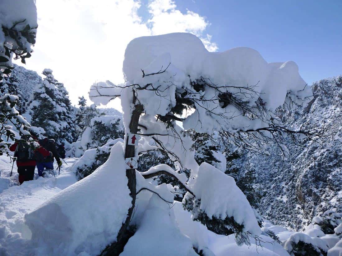 Best Mount Parnassus Greece Trekking 2021 7 Mount Parnassus Greece Snow Trekking