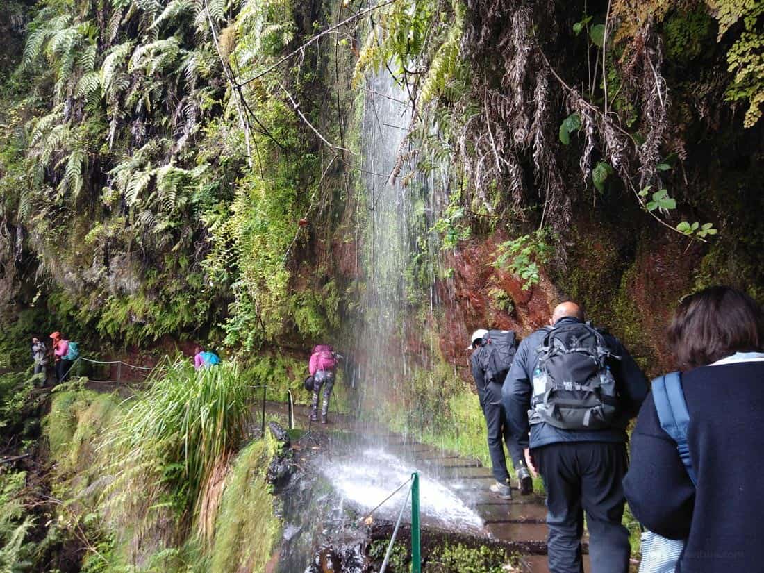 Amazing Levada in Madeira Tropical Hiking Experiences