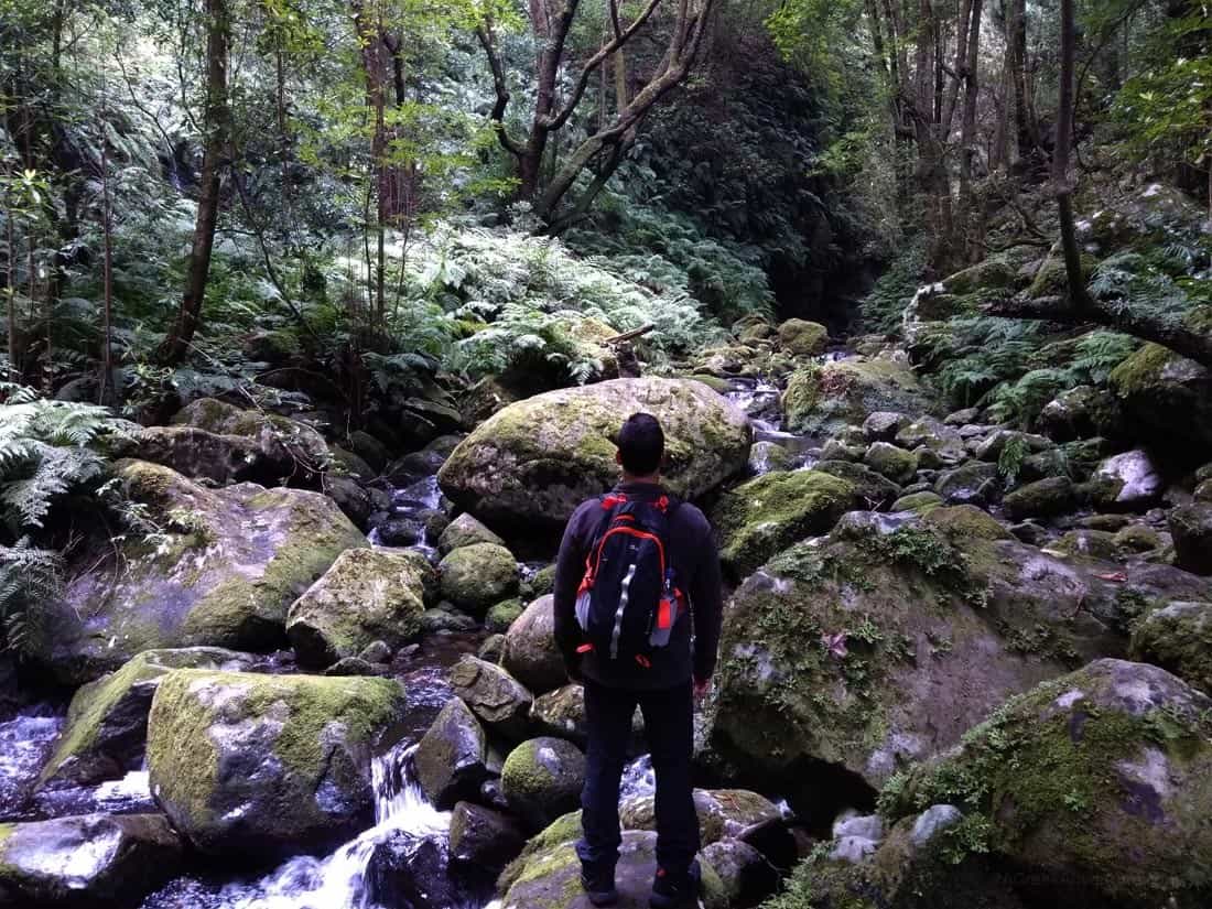 Levada do Rei