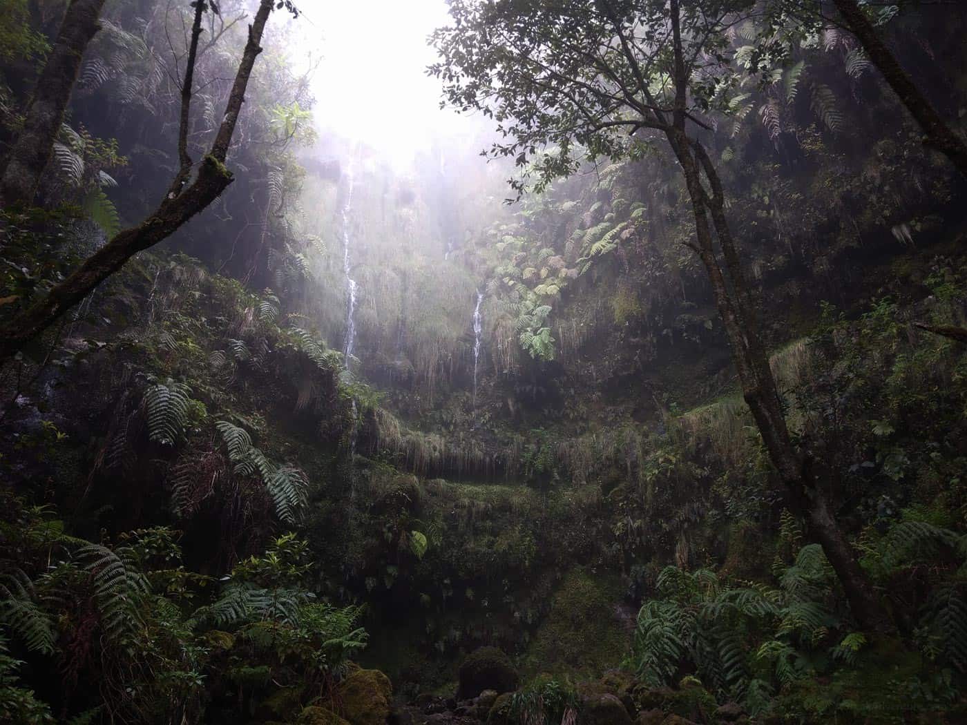 Levada do Caldeirão Verde