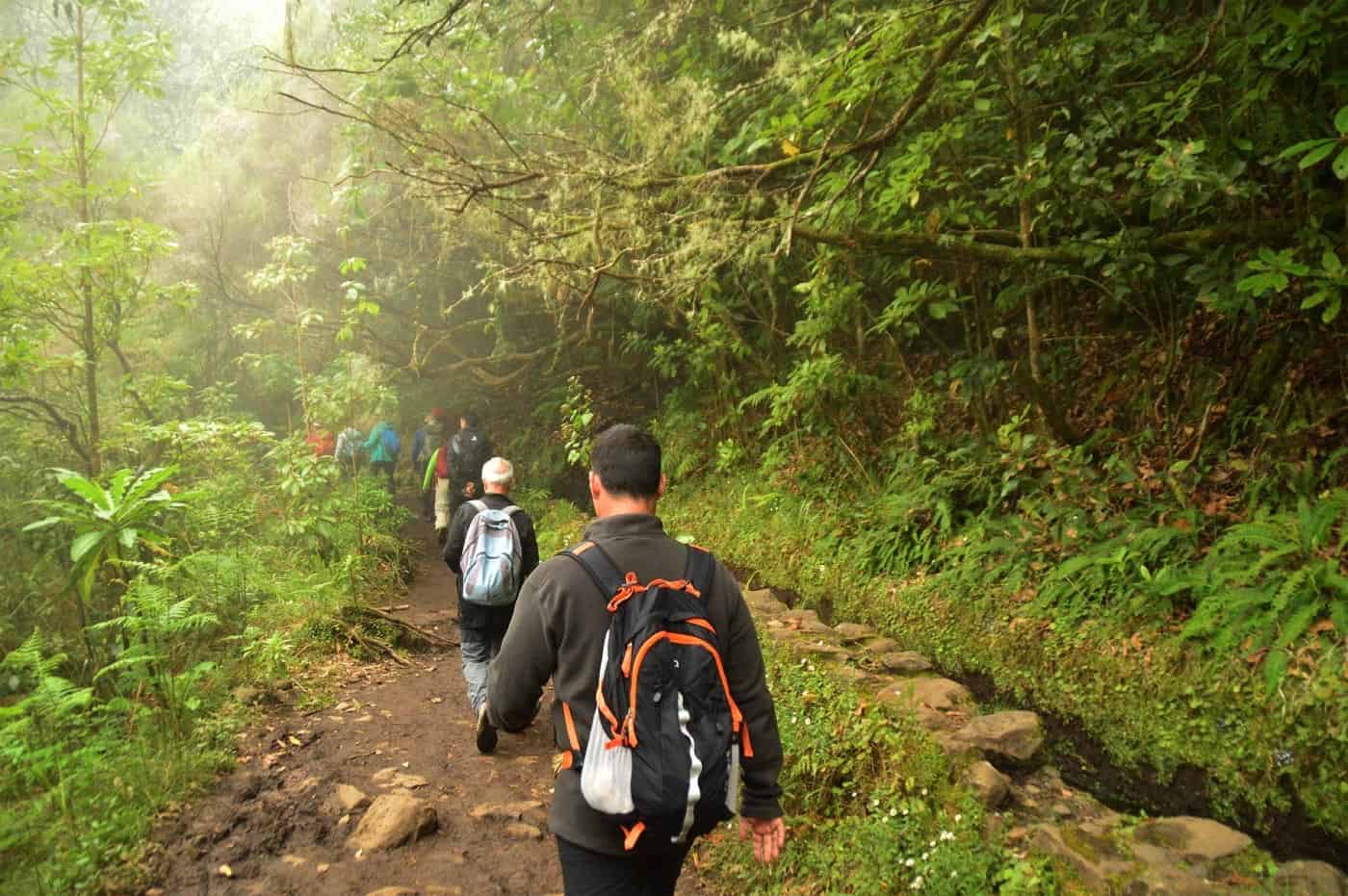 Best Levadas in Madeira Tropical Hiking Experiences 2021 - Mindful 