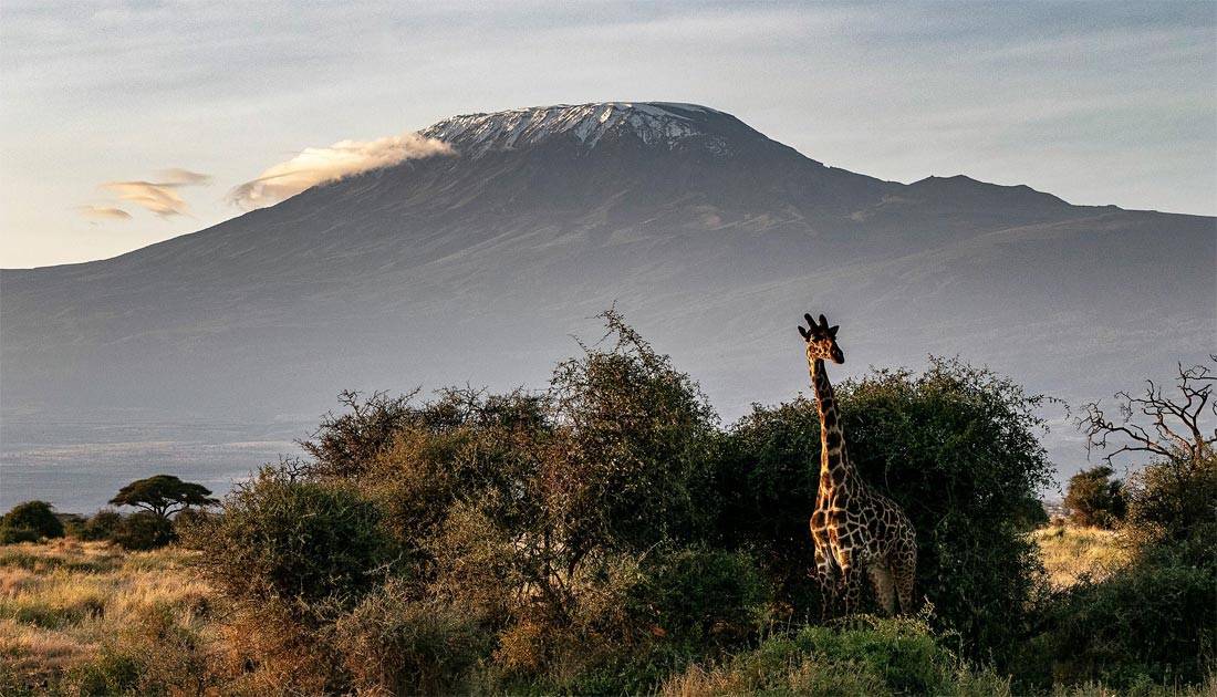 Climbing Kilimanjaro: Complete Guide To Unforgettable Hiking
