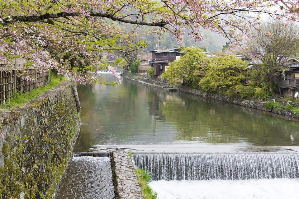 19 Best Places to Visit in Japan in Spring