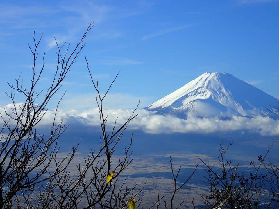 19 Best Places to Visit in Japan in Spring