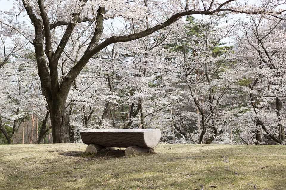 19 Best Places to Visit in Japan in Spring