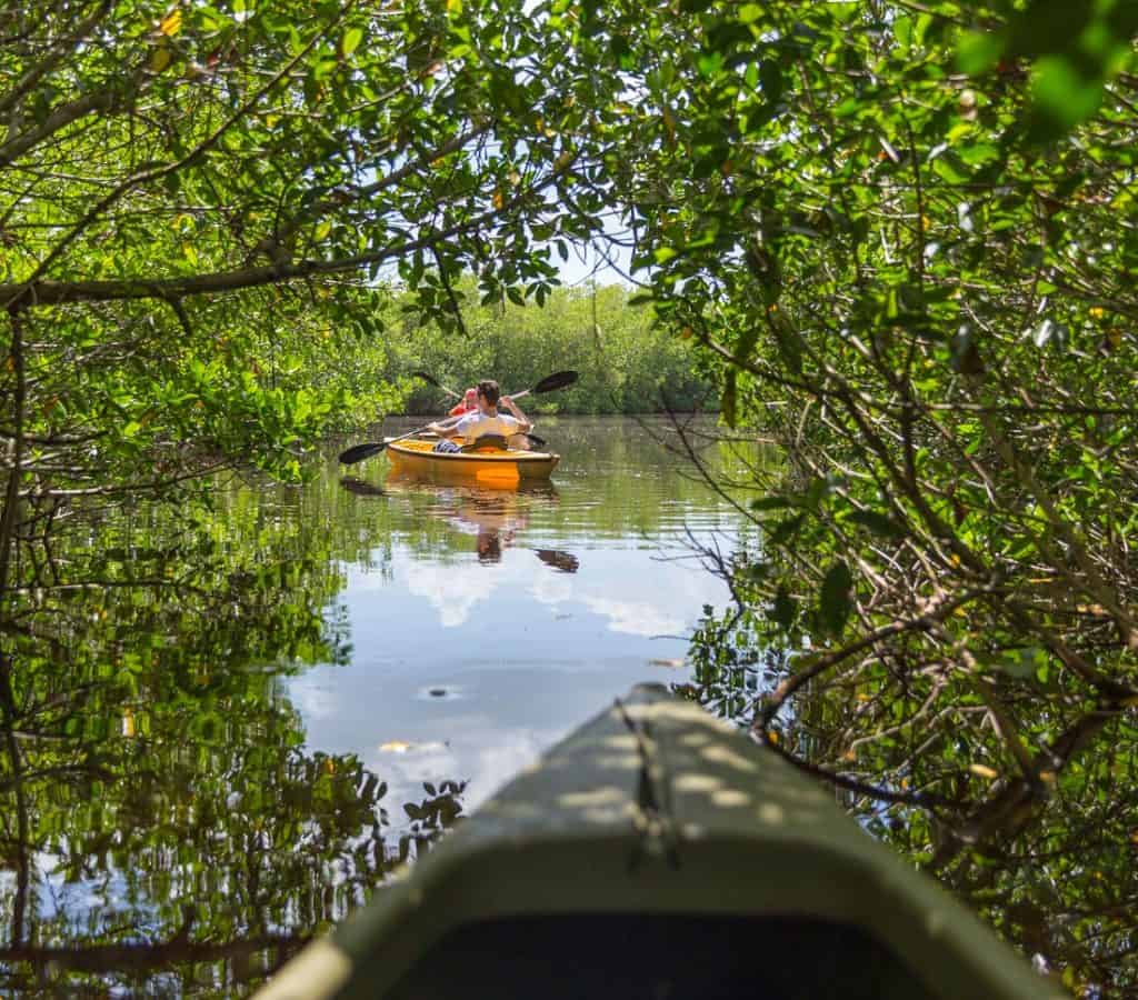 Best Places To Kayak In Florida Keys Mindful Travel Experiences