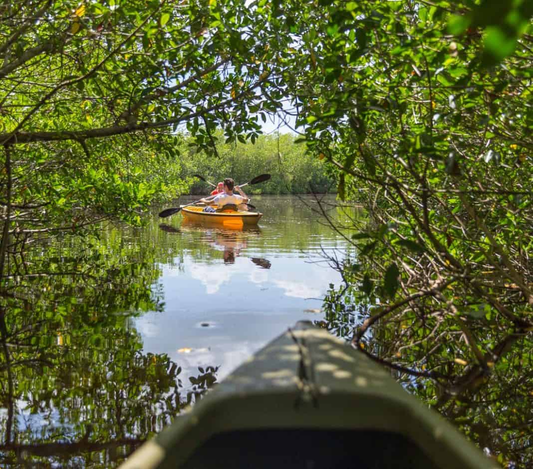 Best Places To Kayak In Florida Keys Mindful Travel Experiences