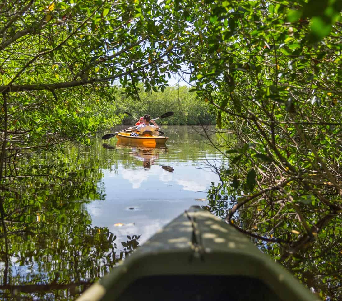 Best Ideas for Kayaking Florida Keys