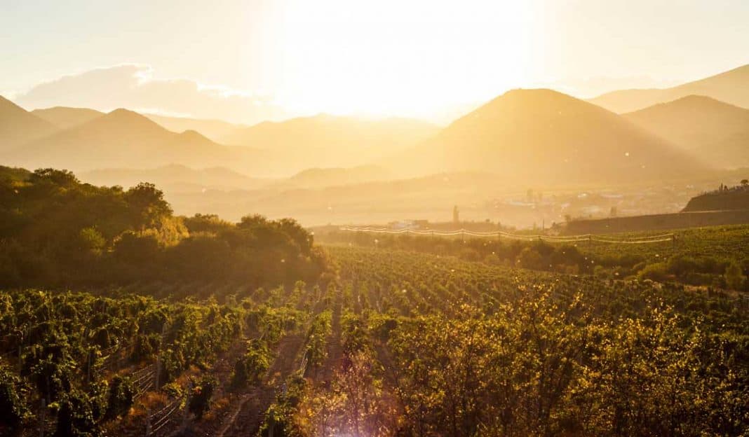 Best Wine Tours In The US 2021 Mindful Travel Experiences